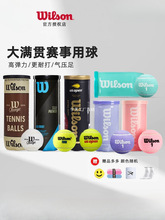 wilso威尔逊上海大师赛网球法网美网比赛训练球胶罐装网球有压球