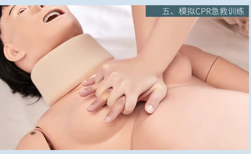 �߼�������ĸ�Ӽ���ģ�ͻ���ģ�� ��ѧģ�� ���� Ů��������ģ��