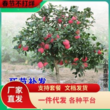 һ�����l�O�������޽Ӱ����t��ʿ������С�u�Ĺ��ϱ�������ͥԺ