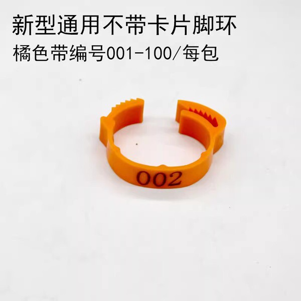 adjustable universal ankle bracelet