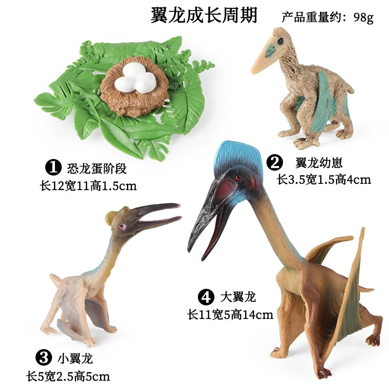 Cognitive realistic marine animal model, dinosaur, toy