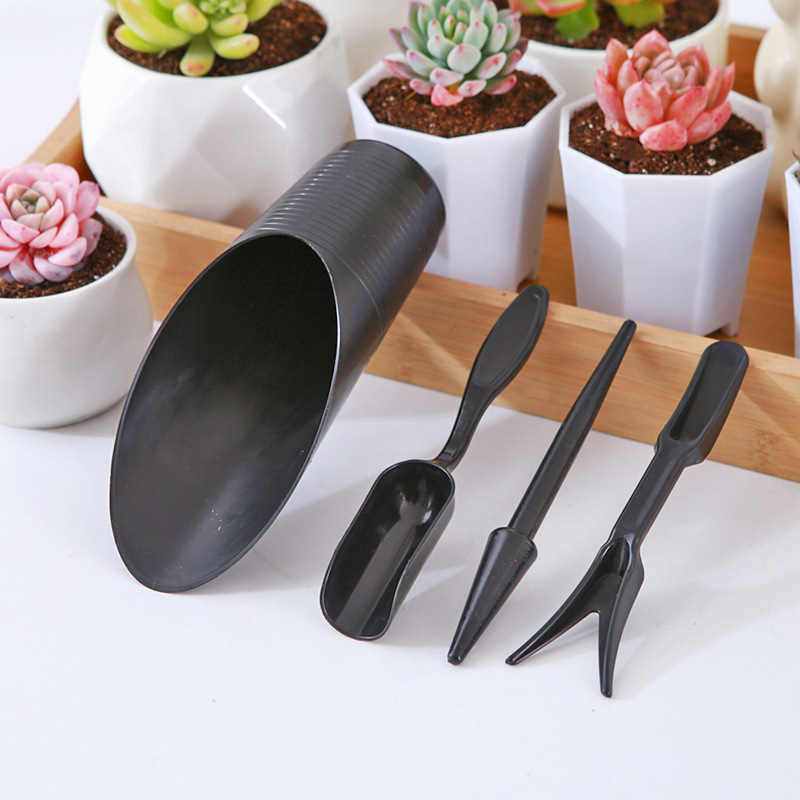 Set de herramientas de jardinería para suculentas y plantación