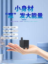 пusbˮС~םˮõ~ˮѭhQˮ^Vˮ