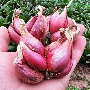 �Nֲ�Ĵ�С���[�t�[�^��ѿ���Ի��[�S�[�ļ��[��ե�[�͸��[�^