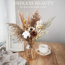 2026文艺复古天然干花束雏菊兔尾草尤加利ins北欧风家居装饰马年