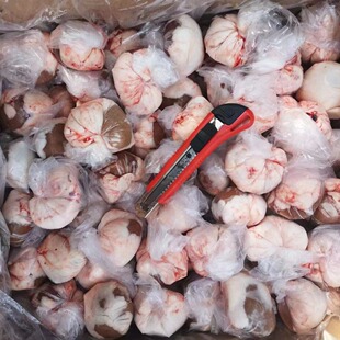 ��������������ӟ���ʳ�����������Ͱ�����������20��������