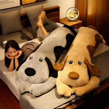 ɐëſſ̖żɲϴLlëqŮϱ˯