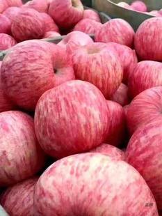 ɽ�|��̨��ϼ�t��ʿ�O��5���rˮ������a�����Fժ����10���O��