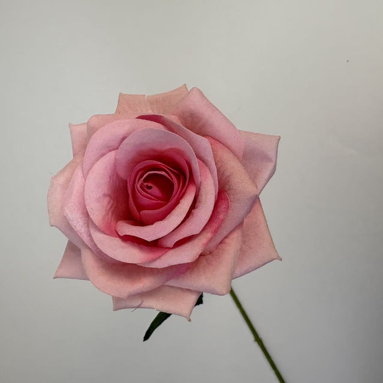 Simulación de una sola tela de terciopelo gran cuerno Mei en el hogar decoración de boda decoración de fotografía de San Valentín decoración de pared de flores