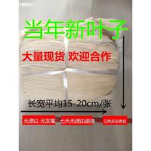 20年新大玉米叶子苞米叶棒棒袄玉米皮天然笼屉布冻粑糍粑叶玉米苞