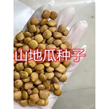 RɽعϷNӛâⷬɳNشȿN