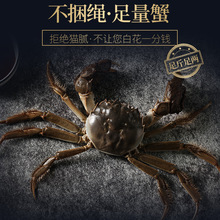 ꖳ��Z�K���з�r���ش��lз�r�ĸз�������l��朴��l�Y���b