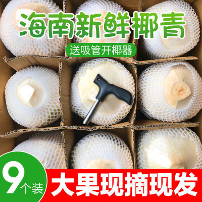 椰子水果椰青海南特産新鮮現摘當季孕婦椰汁椰肉熱帶2/4/6/9現摘