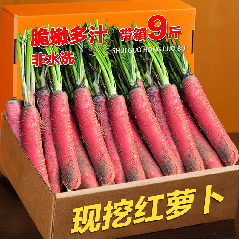 Shaanxi Sand Carrot 4.5kg Freshly Digged Carrot Crisp Sweet Red Skin Transparent Carrot with Mud Carrot 1