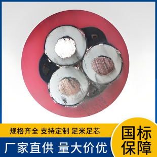 ��ȼ����MCVFP0.66/1.14KV 1.9/3.3KV��ú�C׃�l�b������ܛ��|