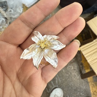 ���ײɫ���������㻨��С���L��ָ INS�߼��з�����ʯ����ָ�h