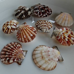 �˱�����ؐ�� �ֹ�diy���� ������ؐ�S�C����  ��Ȼؐ���������l