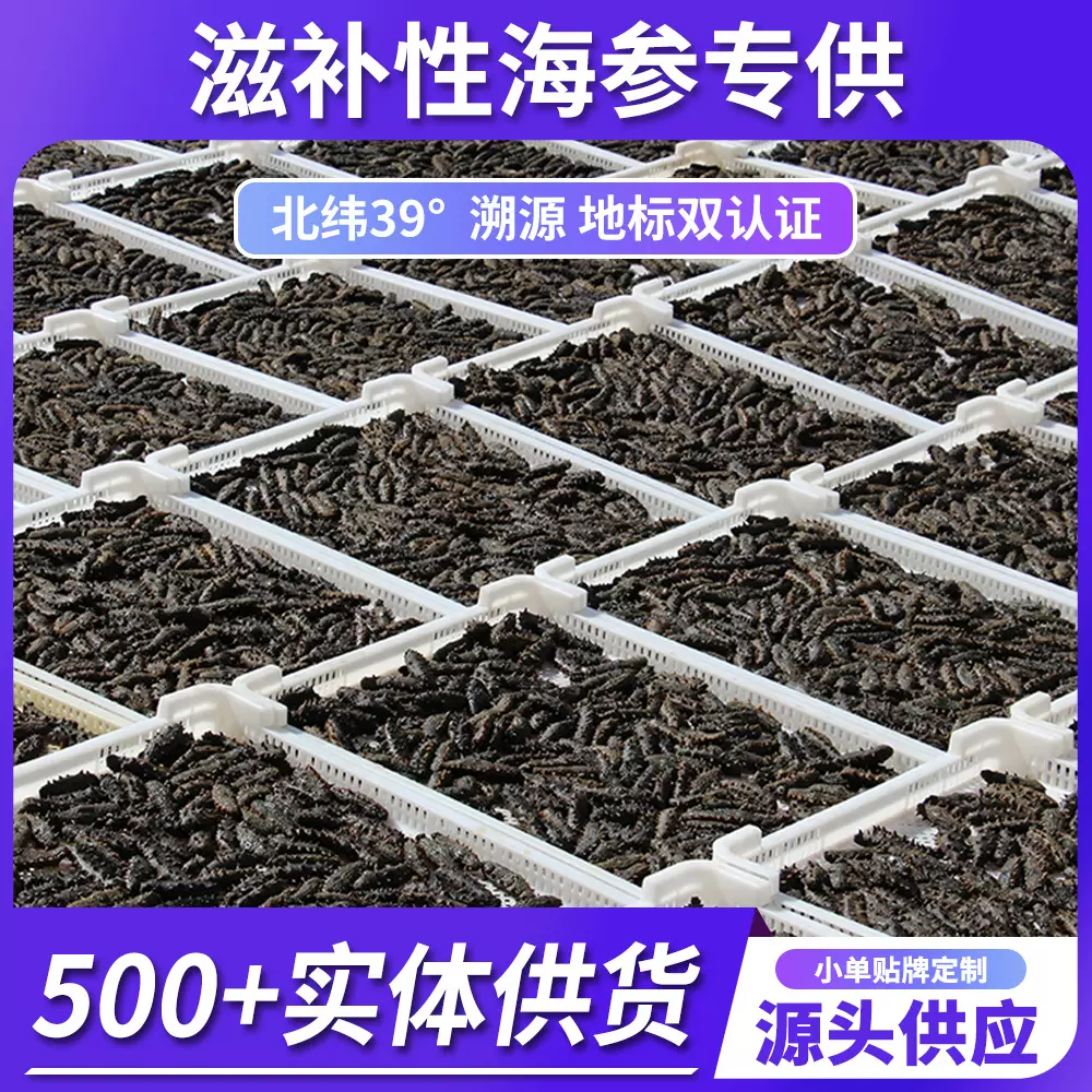 【国标海参】大连淡干海参三级干货批发滋补辽参商超专供