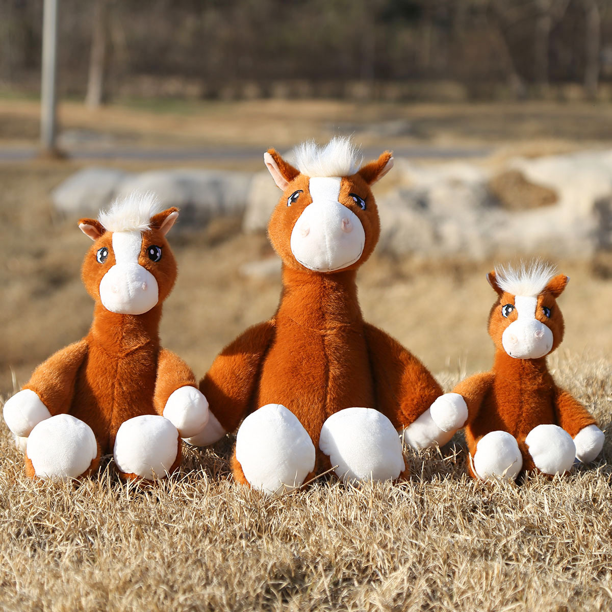 详情-吊脚马 (6).jpg