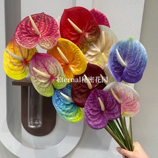 ���滨3D�t��С̖���ƾG�Ʒ��ƻ�Y��c�廨���ָ�ܛ�zܛ�b�Ҿ�