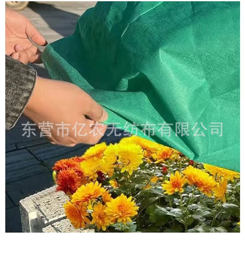 O1CN01Ini8961bWgWaqfQjU_!!2924243473-0-cib.jpg?__r__=1725867920904