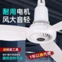 餐厅三叶吊式大号电风扇