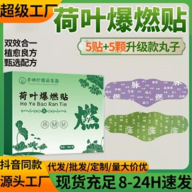 保健护具;身体护理套装;保健器具配件