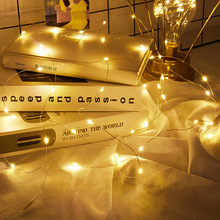 USB款带501开关铜线灯串 玻璃罩干花串灯圣诞节日装饰小彩灯