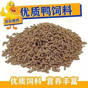 ��~���ZС�u����������Ӵ���w�������|���ͨ�îa���u������