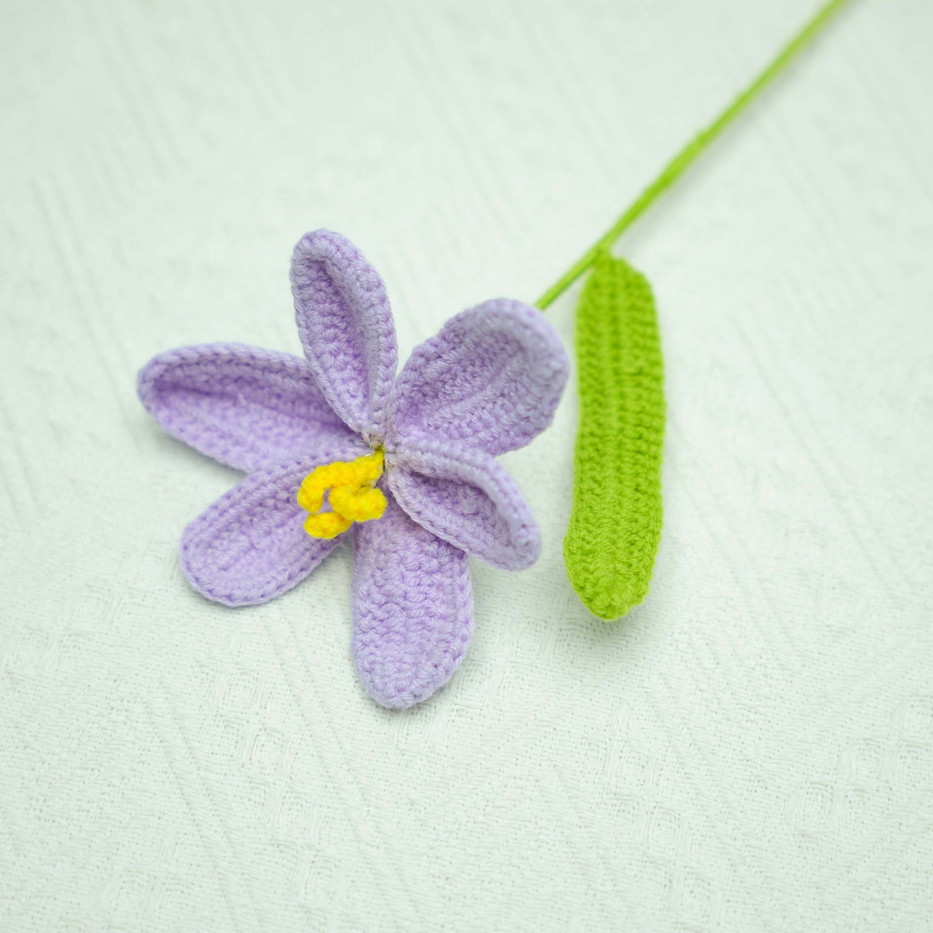 보라색 오픈 튤립