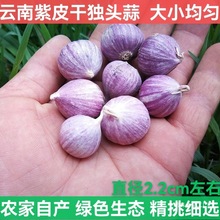 �����ƤС�⪚�^������^��������С����5��5��Ӳ�Ŵ�С���]���l