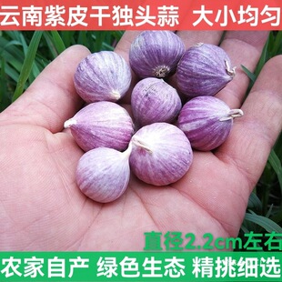 �����ƤС�⪚�^������^��������С����5��5��Ӳ�Ŵ�С���]���l