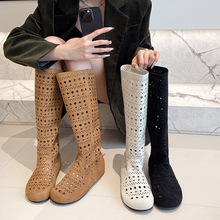 ӢL͹ULͲѥ2025ļ¿ƽ͸ⶴѥŮ