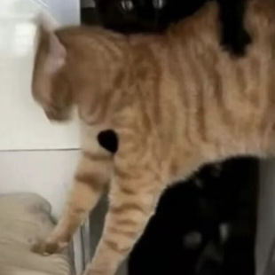 &mdash;&mdash;&mdash;&mdash;���� ��������]21�N��ɫ�O���֙C�� #032602