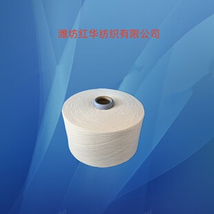21֧�������޼� OEC21Sȫ�޼��� �n���� ᘿ��C������ȫ�޼�21s