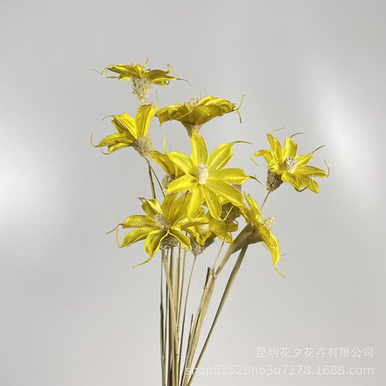 Wenxinlan hand sticky flower wholesale Yunnan dried flower home decorative flower bouquet Xinglan small chrysanthemum fresh shooting props