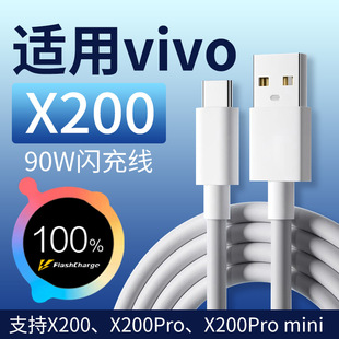 90W�W�侀�m��vivox200������10A���iqoo13��늾�120W�ۿ�typec