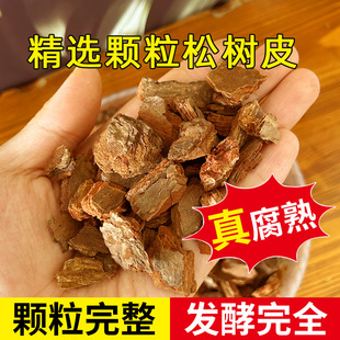 �l���ɘ�Ƥ���������m���FƤʯ�����x�w����Ƥľм����b�I�B���|