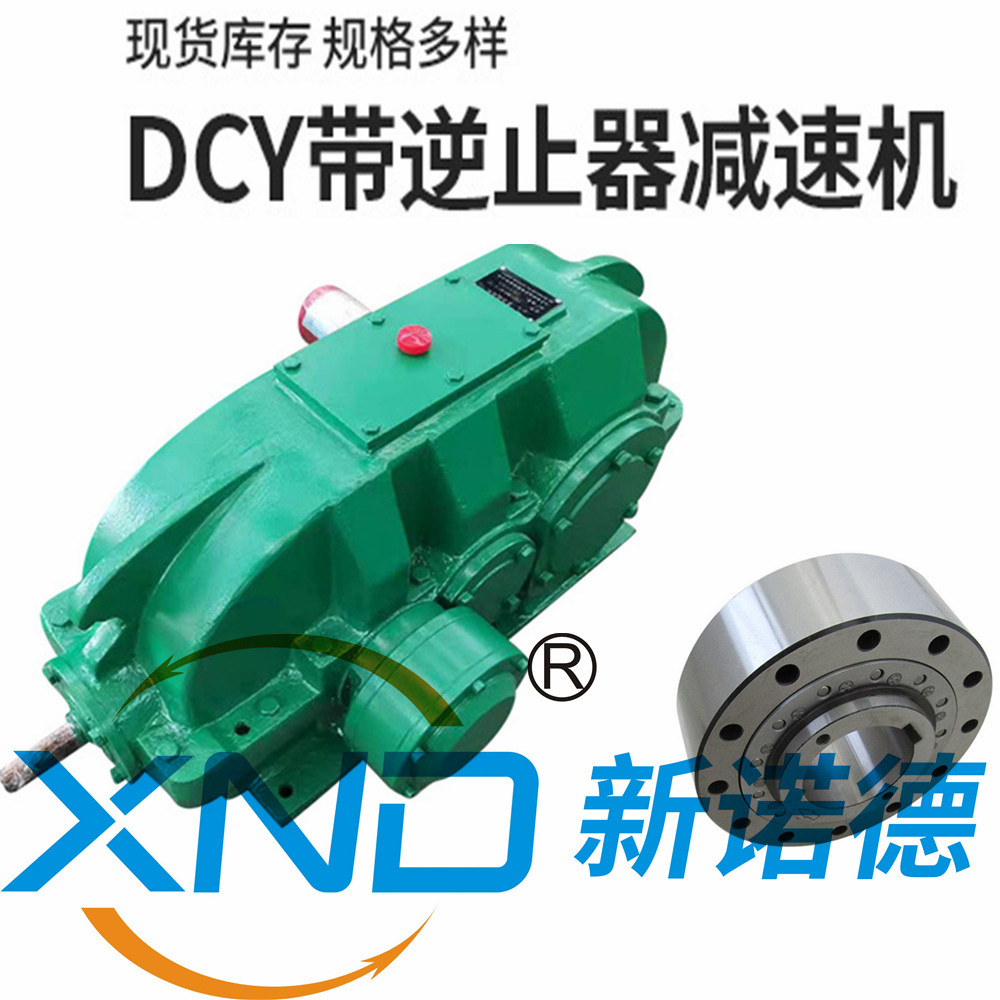 DCY224-50-IIS圆柱齿轮减速器/泰星减速机股份有限公司泰兴减速机