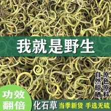 云南化石草中药材肾精茶长白山结石草批发大叶中叶小叶规格齐全