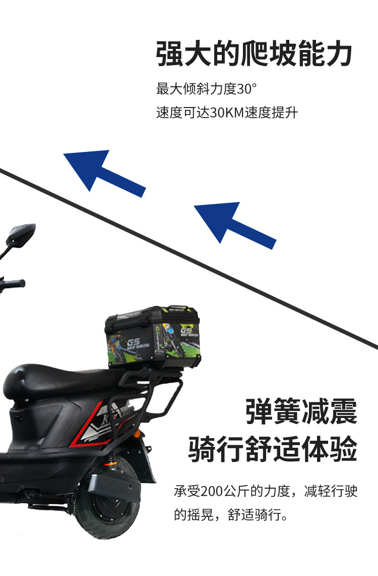 Electric Scooter, Wholesale, Double Electric Vehicle