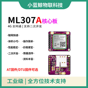 ����4Gģ�MML307A���İ����WCat.1ģ�Kͨ�Ű干����λ�u��DTU