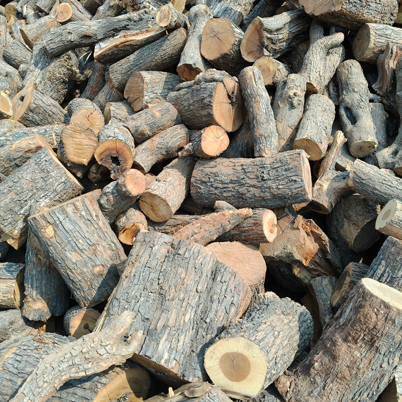 微信图片_20250529094916