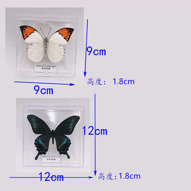 a299116d-a602-442b-a50f-3da2ce300511.jpe