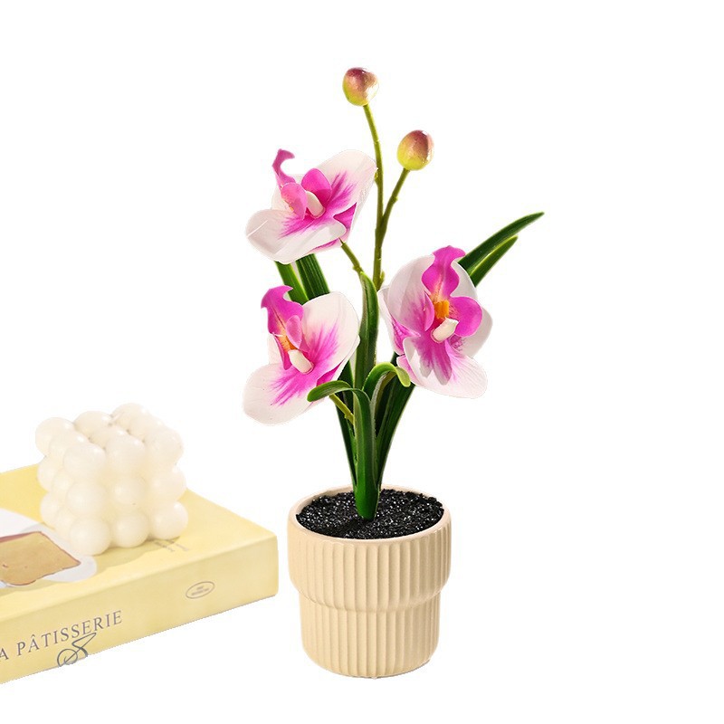 Tres flores y dos frutas orquídeas mariposa sensación de mano simulación pequeña decoración del hogar bonsai fotografía flores artificiales boda flores falsas adornos pequeños