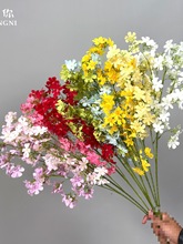 ��c���¿����㻨�ٻ���ˇ��Yӭ�e�컨�c����ꐙ�����c����