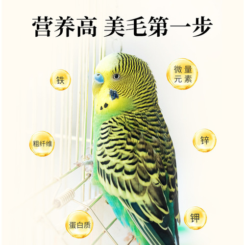 Hamster small black sunflower seeds snacks Parrot pigeon bird food raw sunflower seeds melon seeds Diamond dove bird food 250g