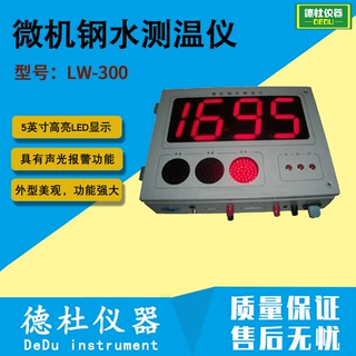 LW-300双面显示微机钢水测温仪 铁水测温仪（壁挂式）