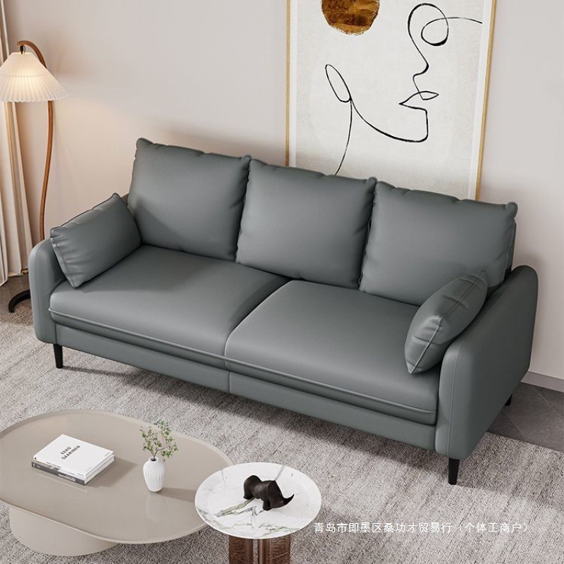 Nordic Sofa Small Apartment Rental Living Room Apartment Modern Simple Fabric Sofa Double Three Person Internet Celebrity Sofa