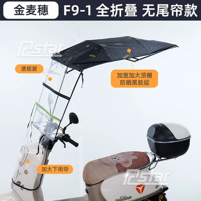 New Battery Electric Vehicle: Elektromobil üçün ön şüşə çətiri (günlük) - f9-1fully-folding-awning-black-wheat-ears-no-tail-curtain-with-mirror-other